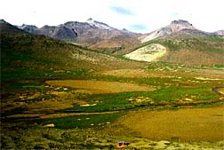 Inland view of Kerguelen
