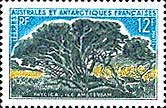 TAAF postage stamp depicting Phylica tree